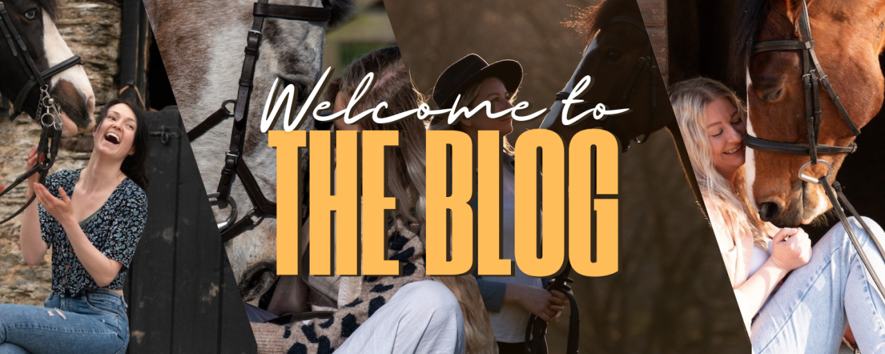 Welcome to the Chestnut Sky Blog!